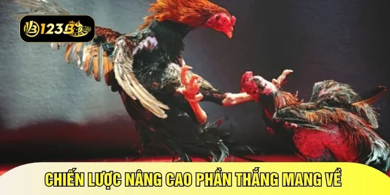 Chiến lược nâng cao phần thắng mang về