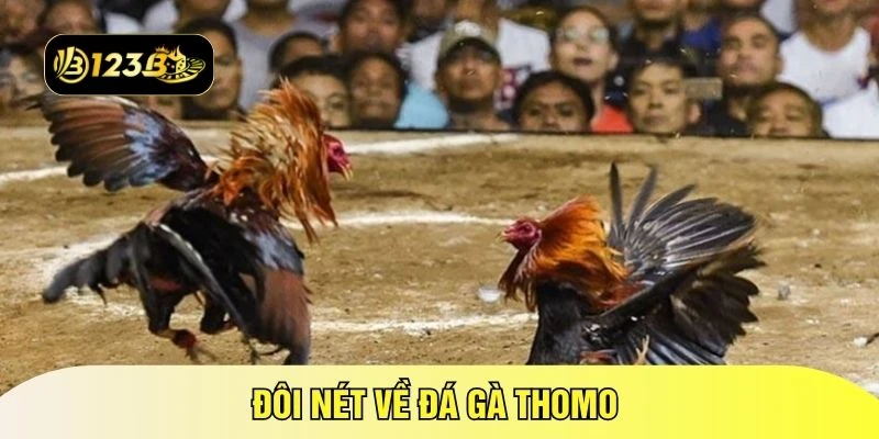 Đôi nét về đá gà Thomo