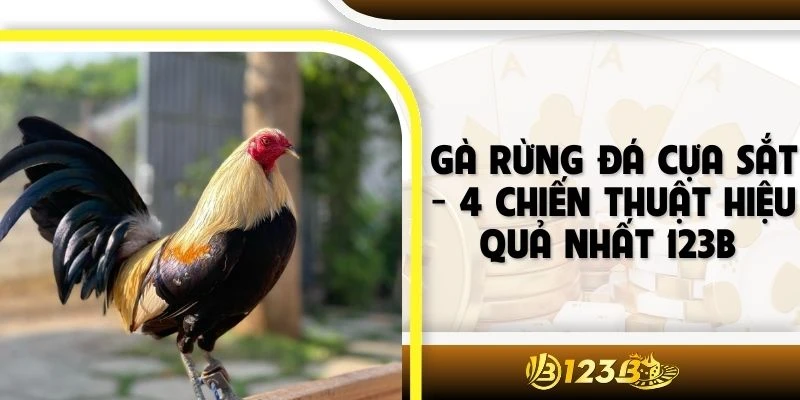 Gà Rừng Đá Cựa Sắt - 4 Chiến Thuật Hiệu Quả Nhất 123B