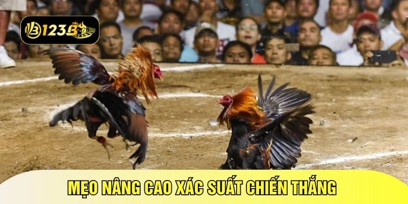 Mẹo nâng cao xác suất chiến thắng