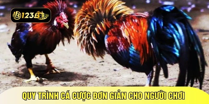 Quy trình cá cược đơn giản cho người chơi 