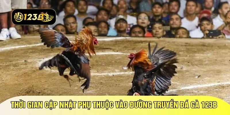 Thời gian cập nhật phụ thuộc vào đường truyền đá gà 123B